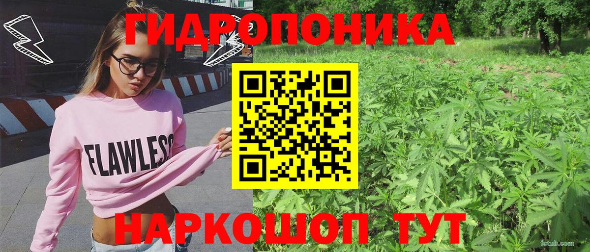 Марихуана конопля  Конопля ГИДРОПОН  Вход с VPN  Людиново  Шишки марихуана сатива 
